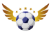 Football Motion